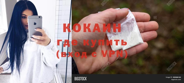 ГАЛЛЮЦИНОГЕННЫЕ ГРИБЫ Куйбышев