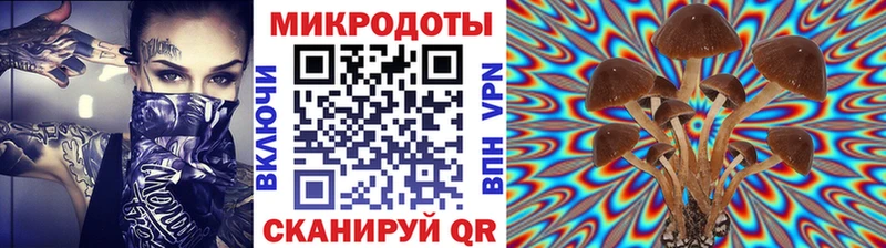 Галлюциногенные грибы MAGIC MUSHROOMS  hydra ТОР  Суровикино 